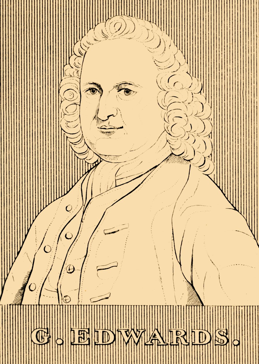 G. Edwards, 1694-1773, 1830. by Unbekannt