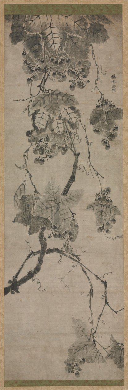 Üzüm, 1700