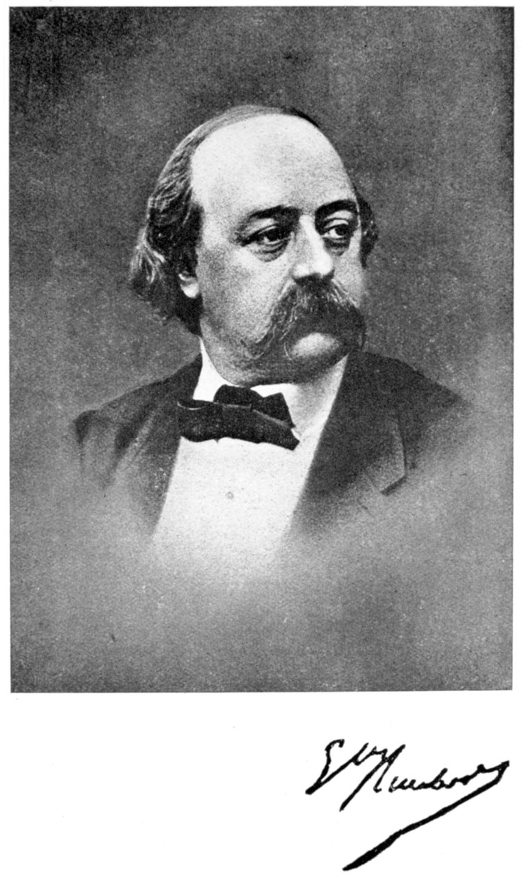Gustave Flaubert, Fransız romancı, 19. yüzyıl by Unbekannt