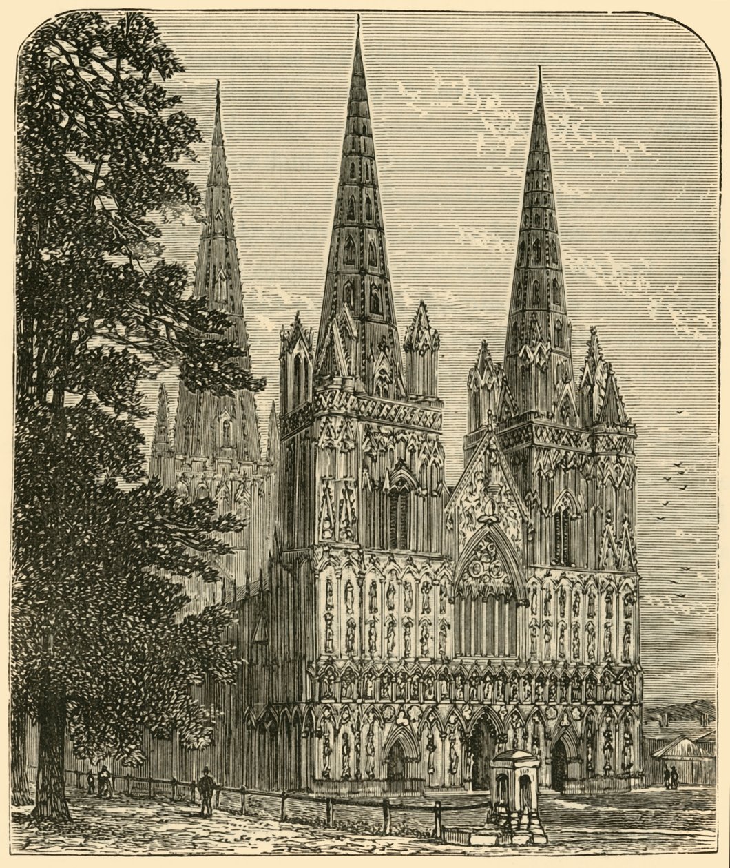 Lichfield Katedrali - Batı Cephesi, 1898. by Unbekannt