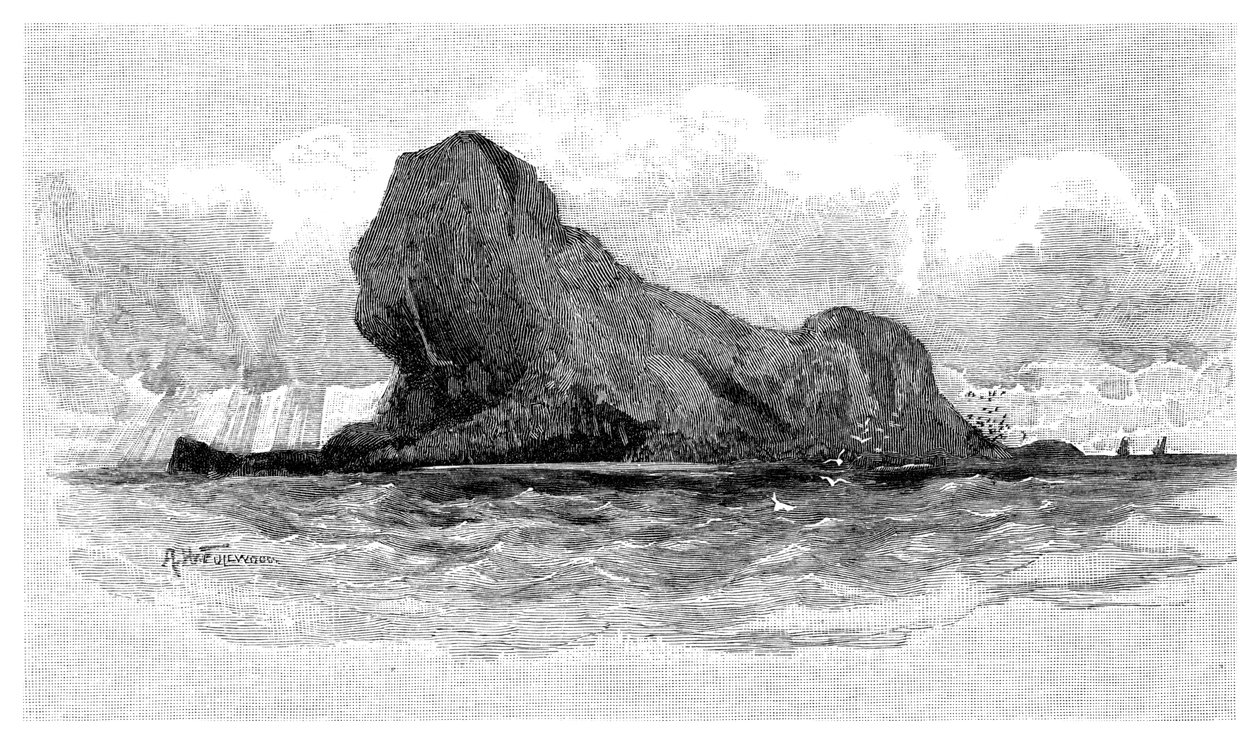 Aslan Adası, Avustralya, 1886 by Unbekannt