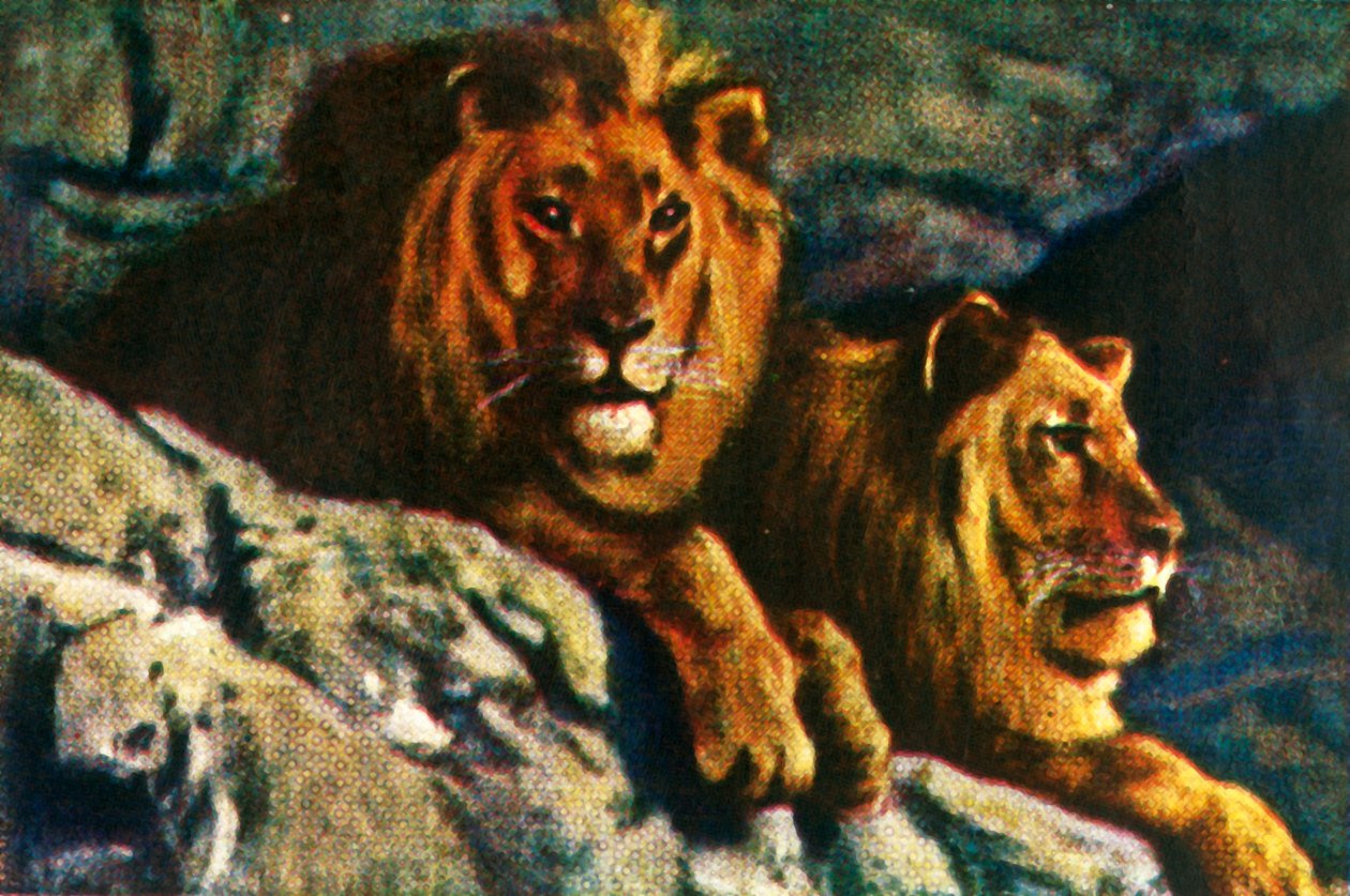 Aslanlar, c1928. by Unbekannt