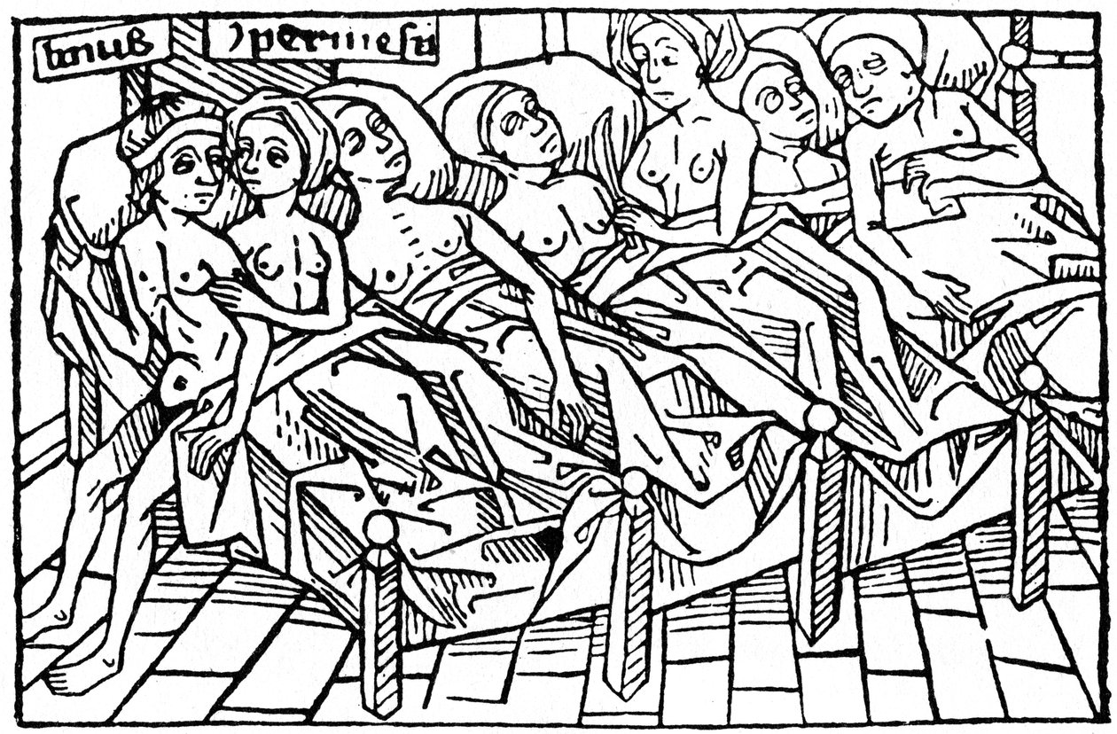 Lynceus ve Hypermnestra, 1479 1964. by Unbekannt