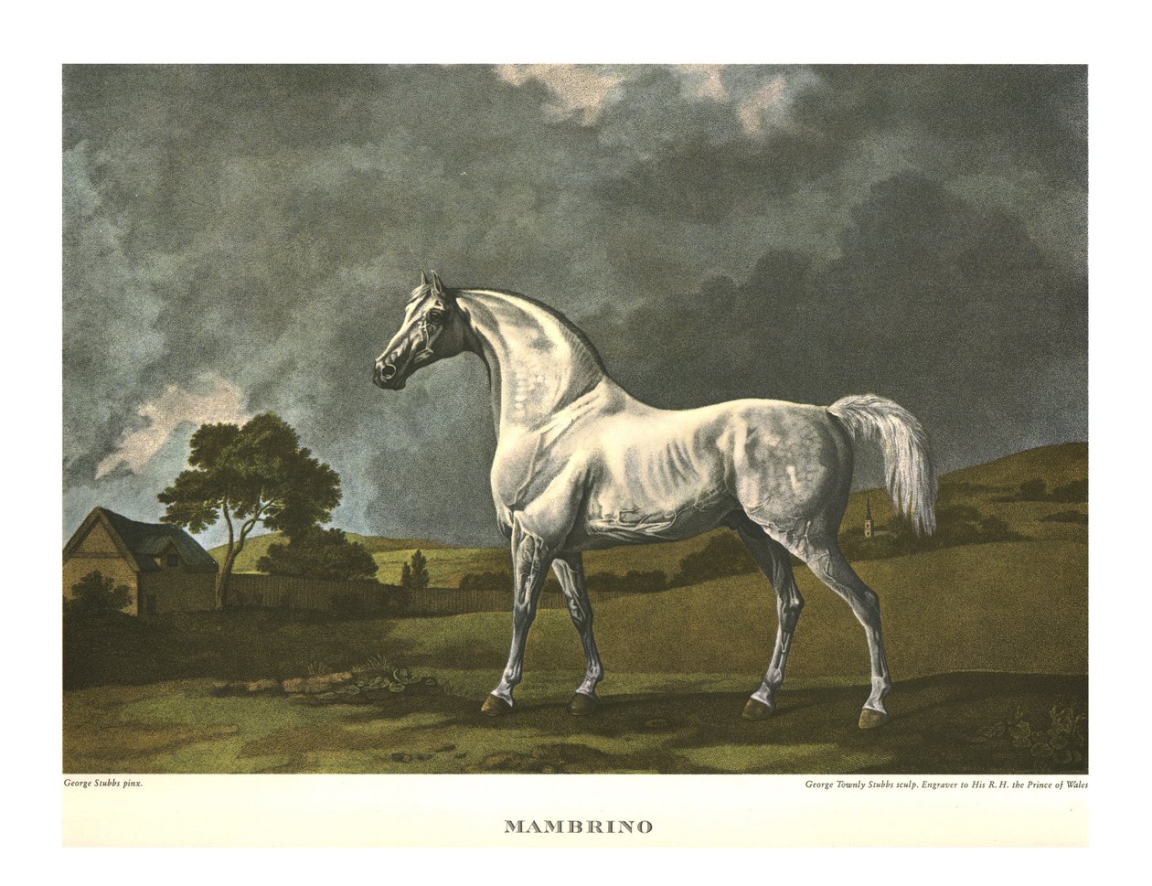 Mambrino, c1779, c1955. by Unbekannt