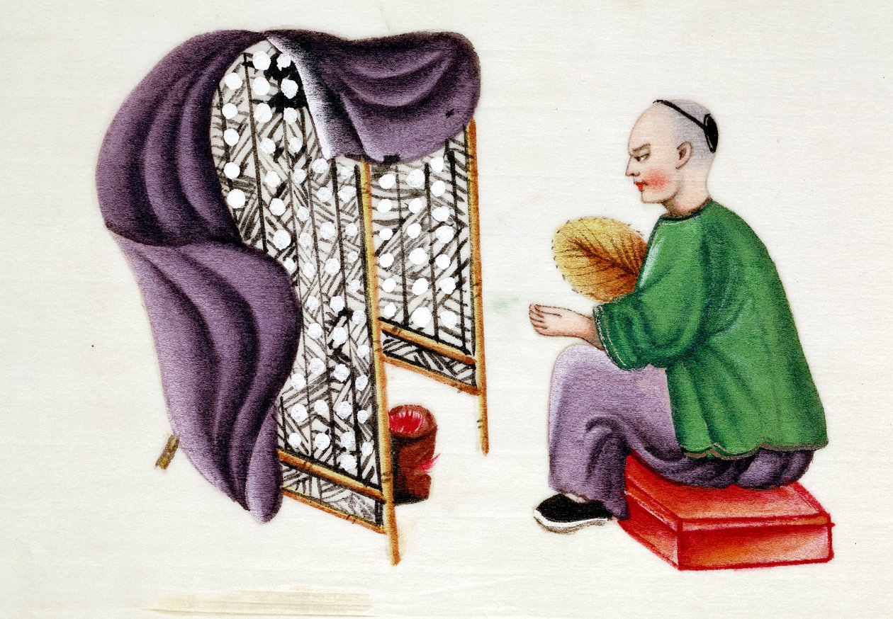 Adam ipekböceği kozalarını kurutuyor, 19. yüzyıl by Unbekannt