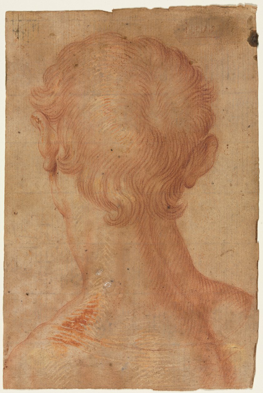Arkadan Adamın Başı, 16. yüzyıl. by Unbekannt