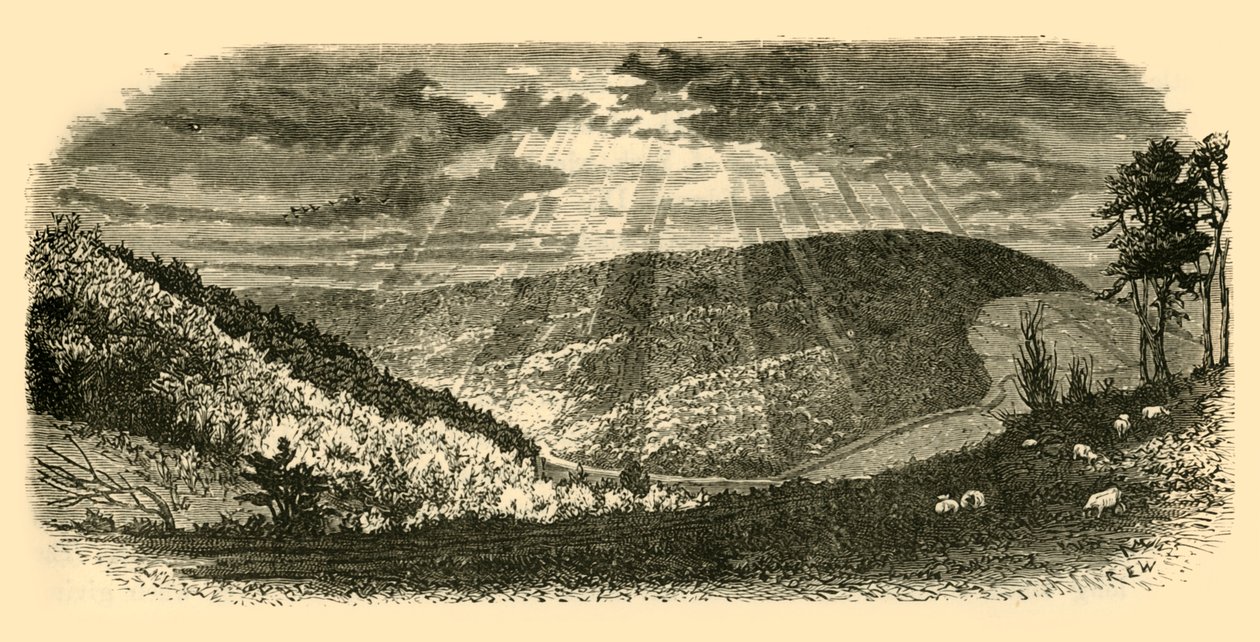 Mary Knoll Vadisi, 1898. by Unbekannt