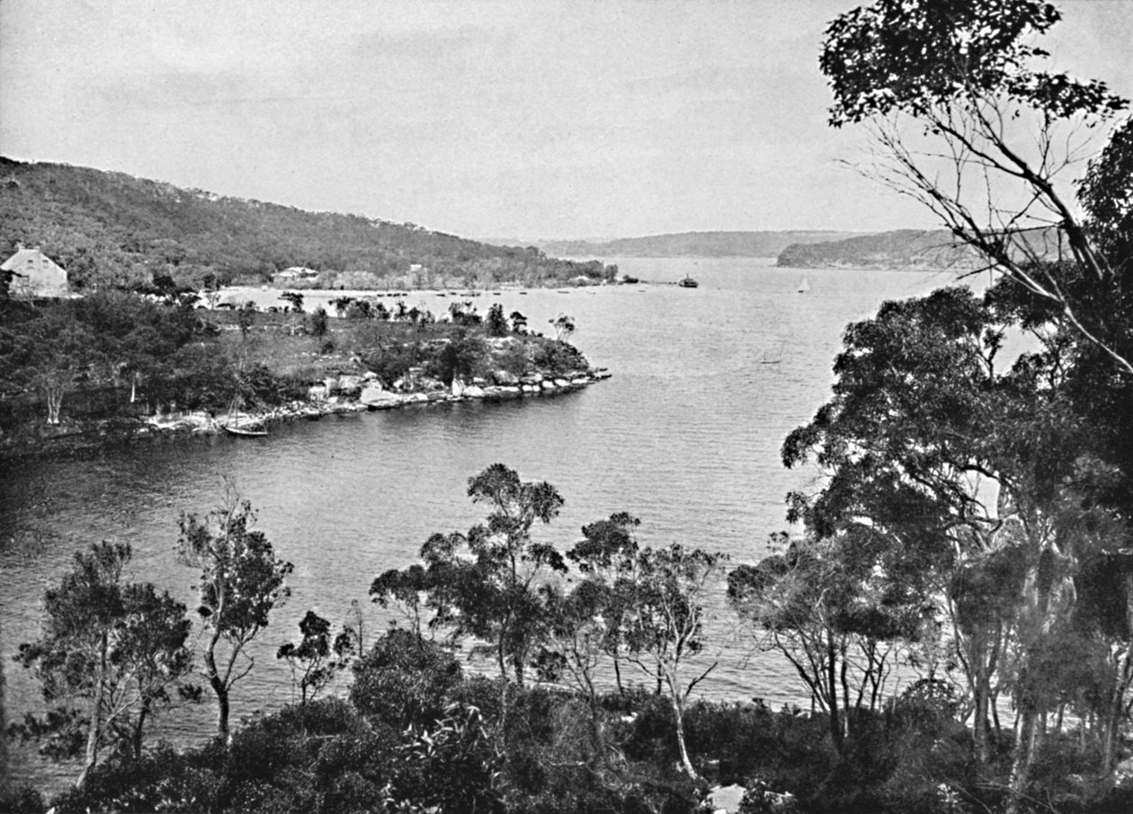 Orta Liman, Spit Road