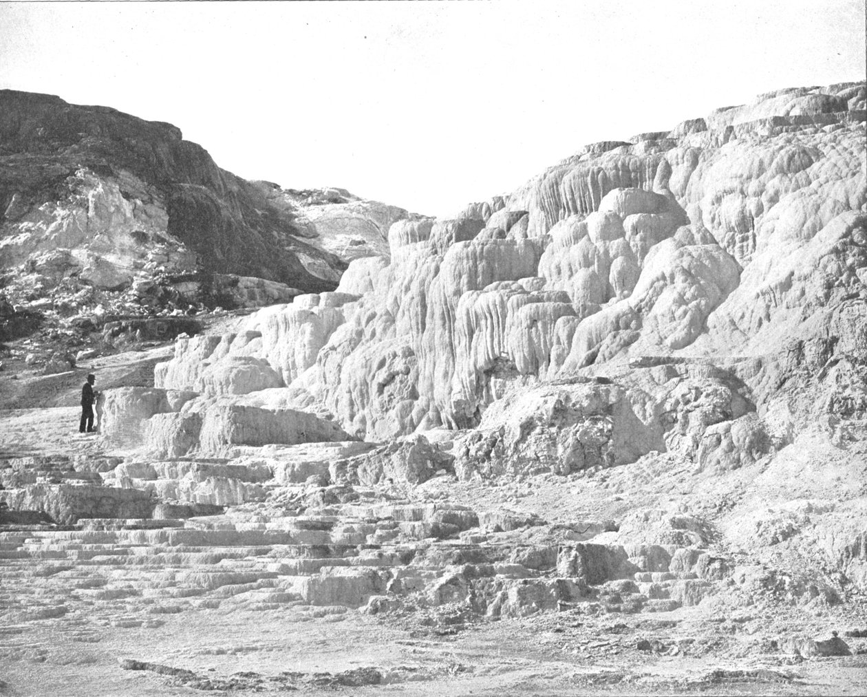 Minerva Terası, Yellowstone Parkı, ABD, c1900. by Unbekannt