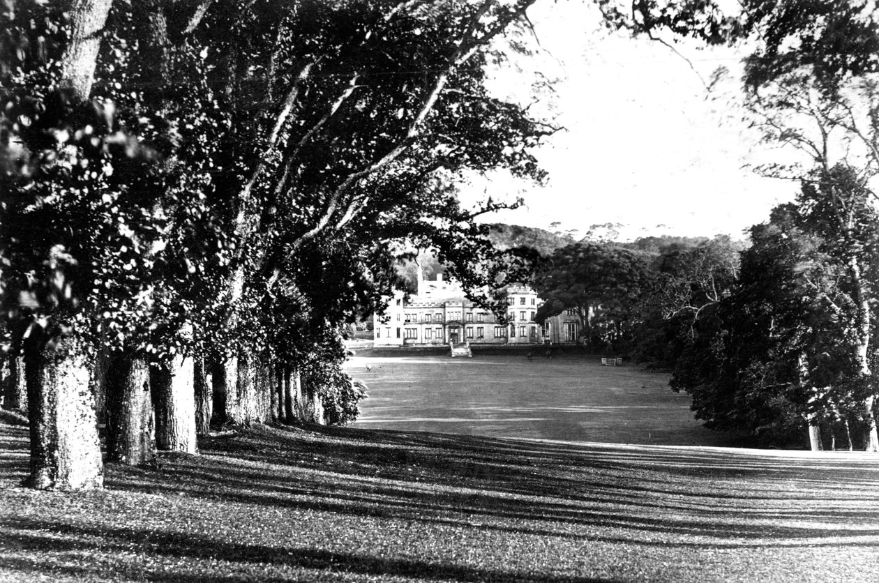 Edgcumbe Dağı, c1882 by Unbekannt