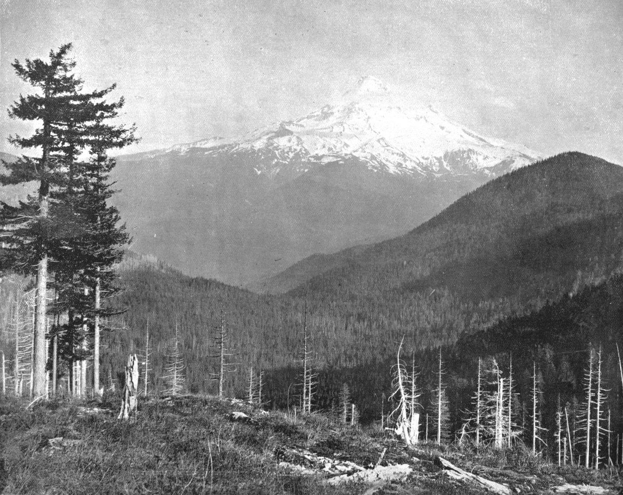 Hood Dağı, Oregon, ABD, c1900. by Unbekannt