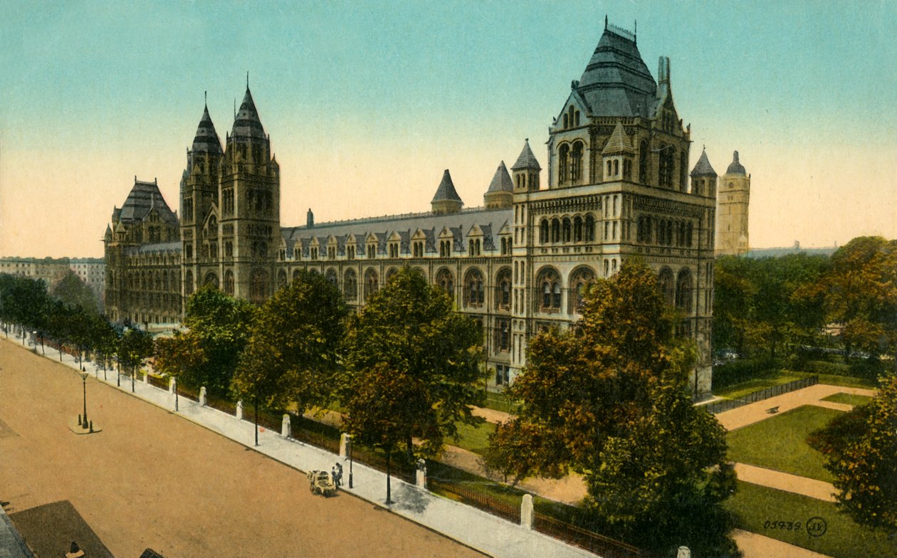 Doğa Tarihi Müzesi, Londra, c1910. by Unbekannt