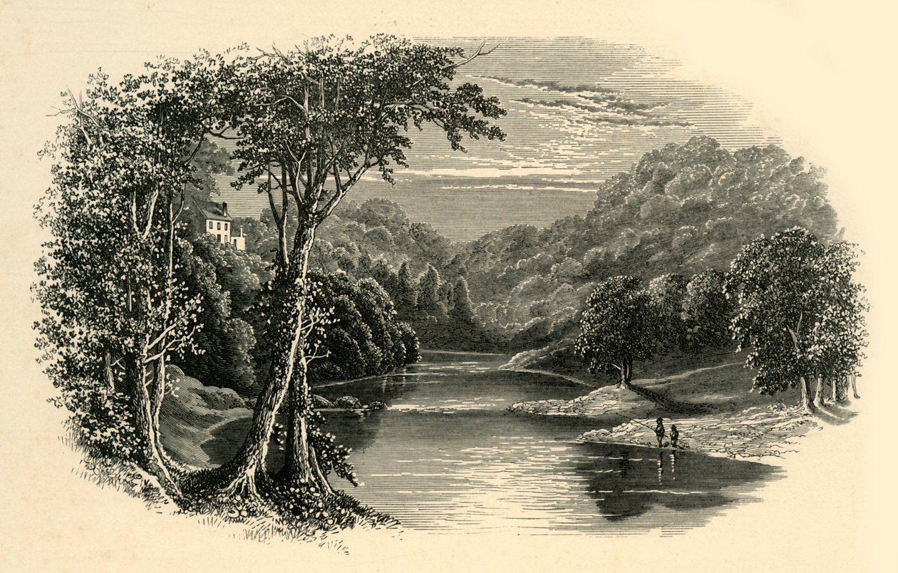 Hodder