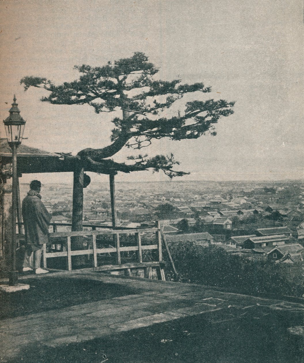 Japonya