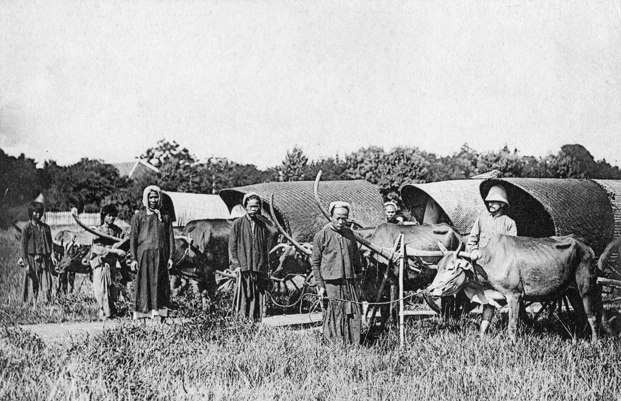 Kağnı arabaları, Cochin China, Vietnam, 20. yüzyıl by Unbekannt