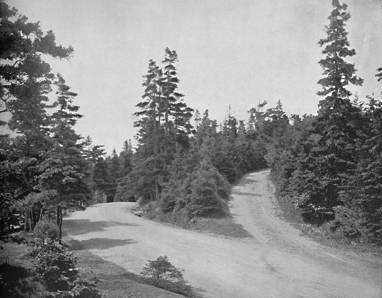 Point Pleasant Park, Halifax, Nova Scotia, c1897. by Unbekannt
