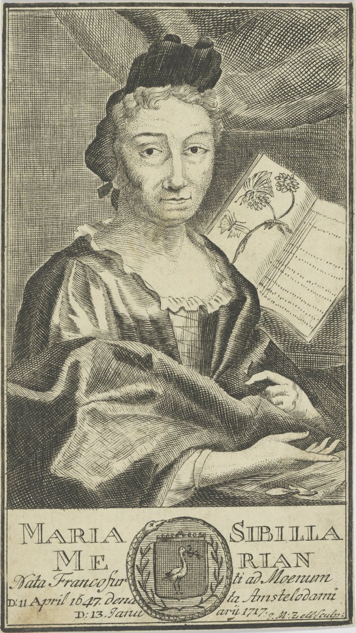 Maria Sibylla Merian