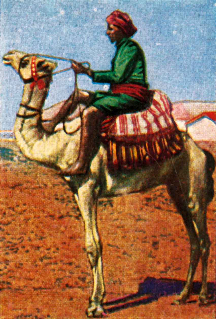 Deve tarafından teslim edilen posta, Arabistan, c1928. by Unbekannt