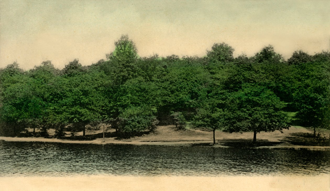 Queensmere, Wimbledon Common, Londra, 1903. by Unbekannt
