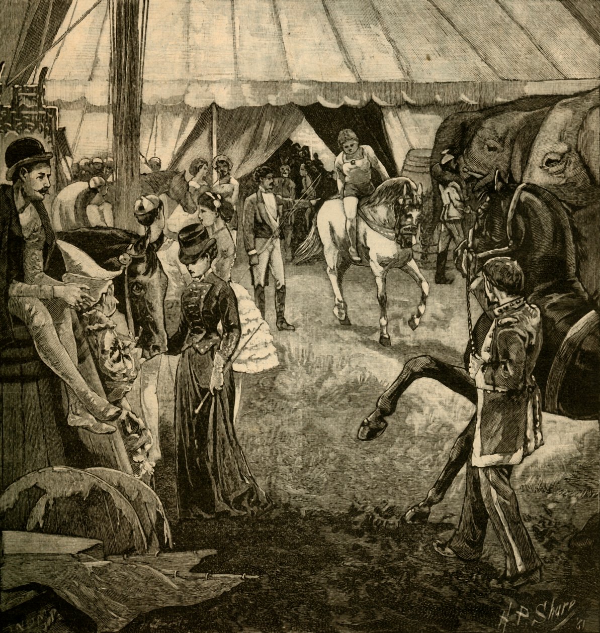 Ringe Çağrılmaya Hazır, 1882. by Unbekannt