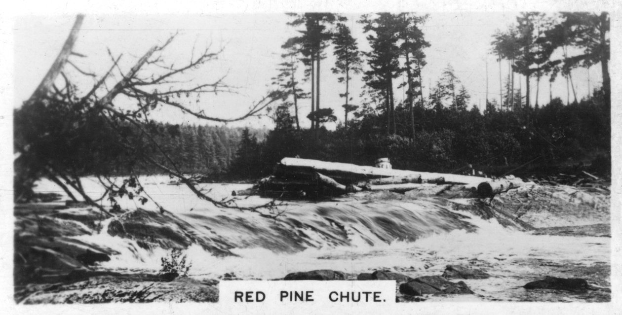 Red Pine Chute, Kanada, c1920s by Unbekannt
