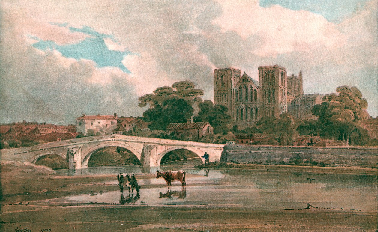 Ripon Katedrali, c1800, c1900. by Unbekannt
