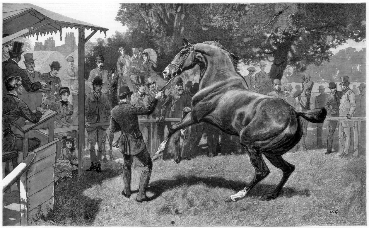 Avcıların Satışı Yetiştirme ve itiraz, 1885 by Unbekannt