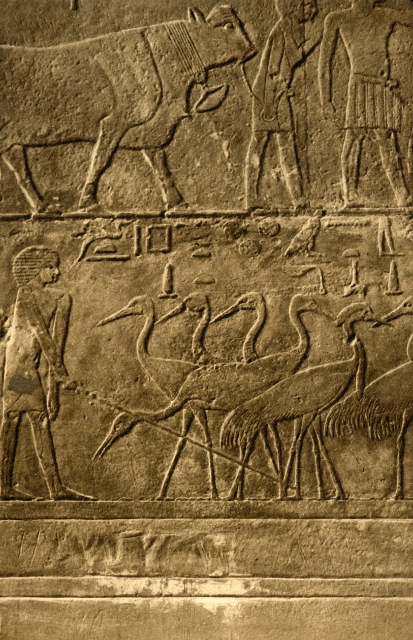 Saqqara - Ti Duvar Resimleri Mezarı, c1918-c1939. by Unbekannt