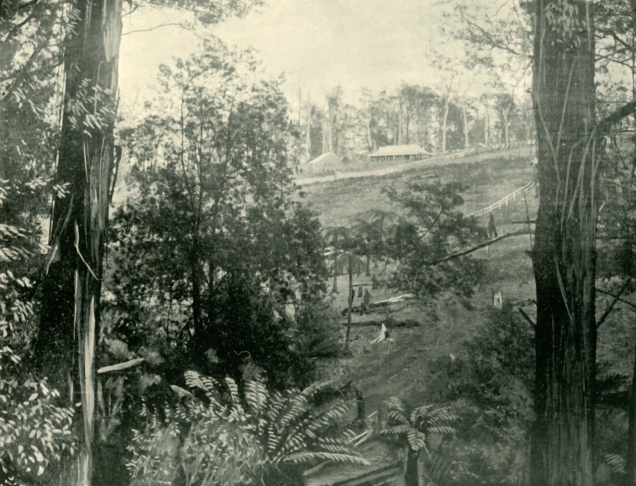 Yukarı Gembrook