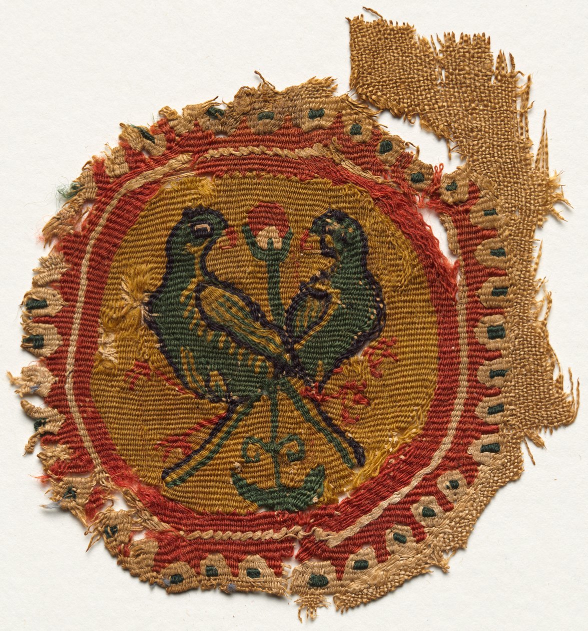 Tunikten Segmentum, 600
