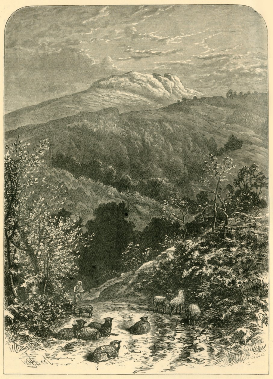Çoban, 1898. by Unbekannt