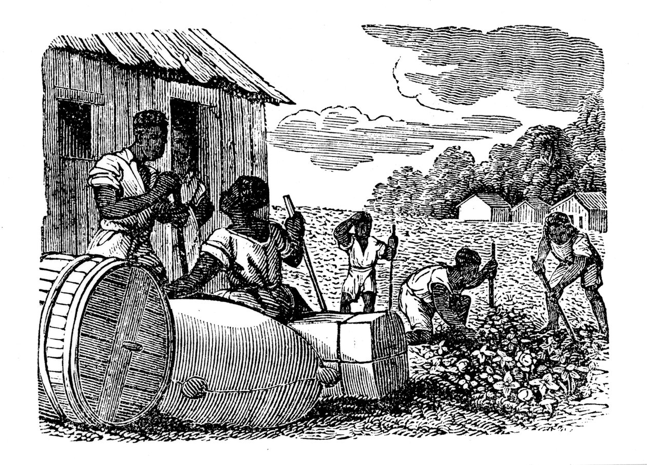 Tütün tarlasında çalışan köleler, 1833 by Unbekannt