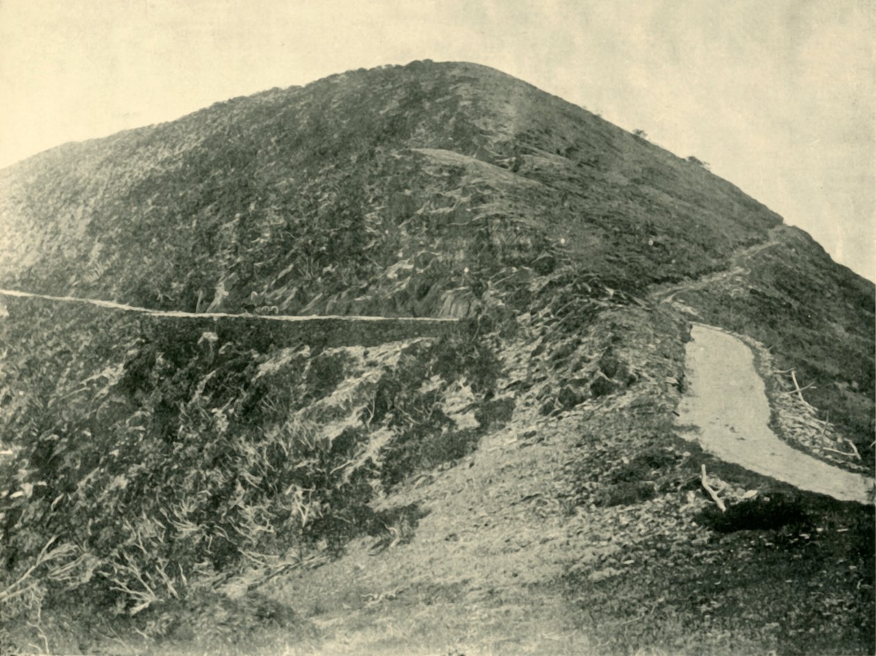 Blowhard Dağı Zirvesi, Victoria Alpleri, 1901. by Unbekannt