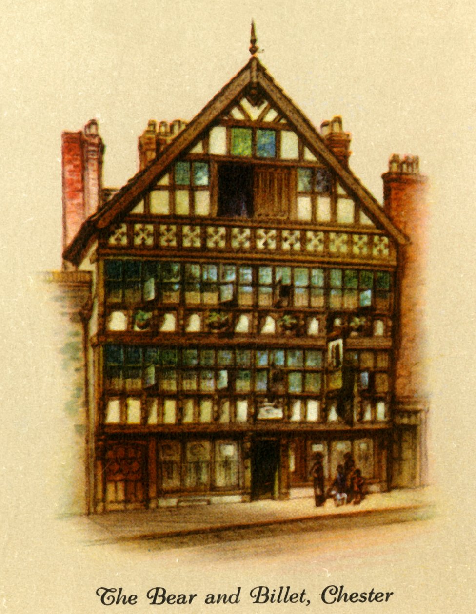 Ayı ve Kütük, Chester, 1936. by Unbekannt