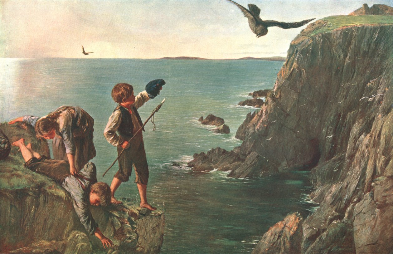 Bonxie, Shetland, 1873, c1902. by Unbekannt