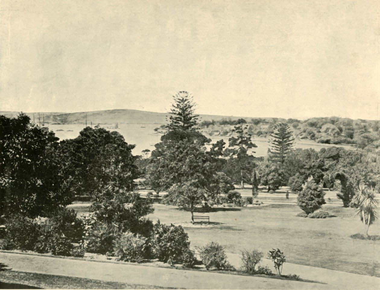 Sidney Botanik Bahçeleri, 1901. by Unbekannt