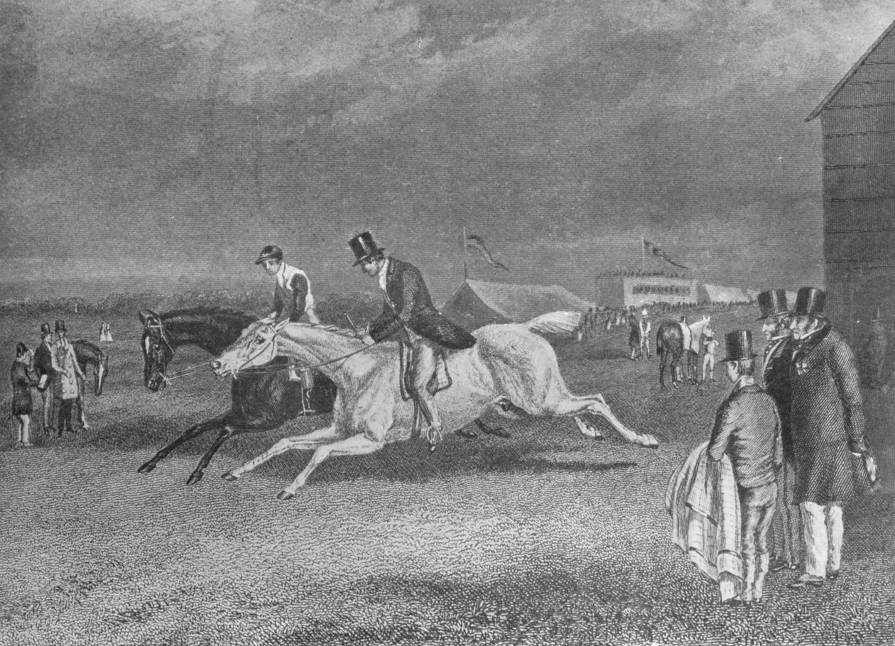 Canter Up, 19. yüzyıl, 1911 by Unbekannt