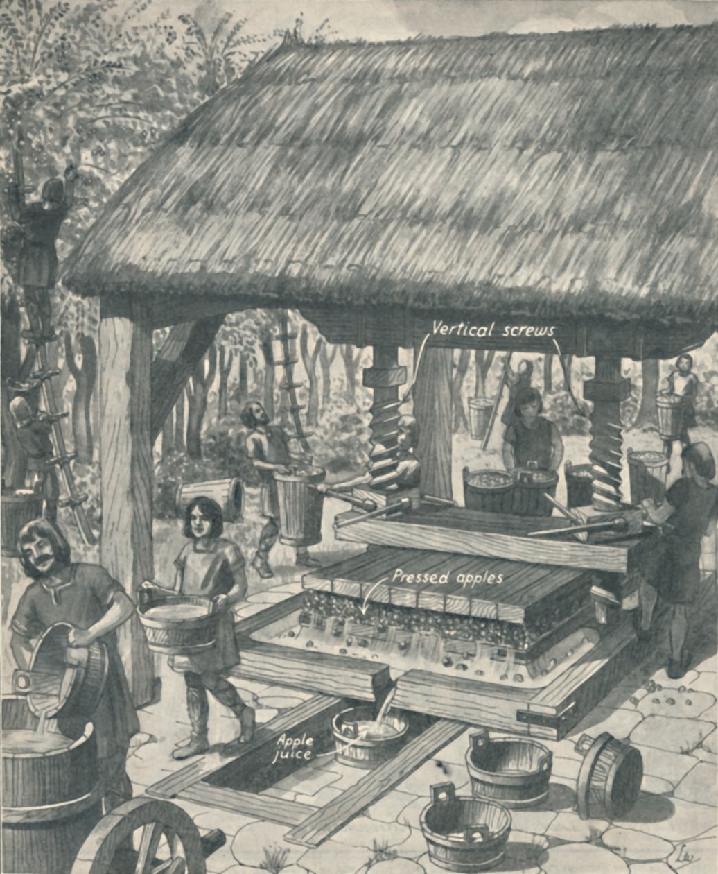 Orta Çağ