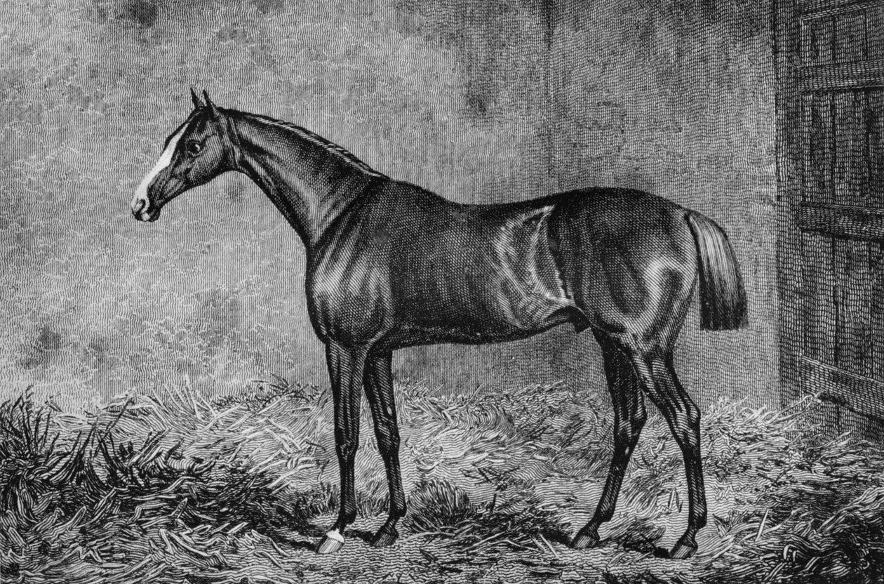 Albay, 1825-1847, 1911 by Unbekannt