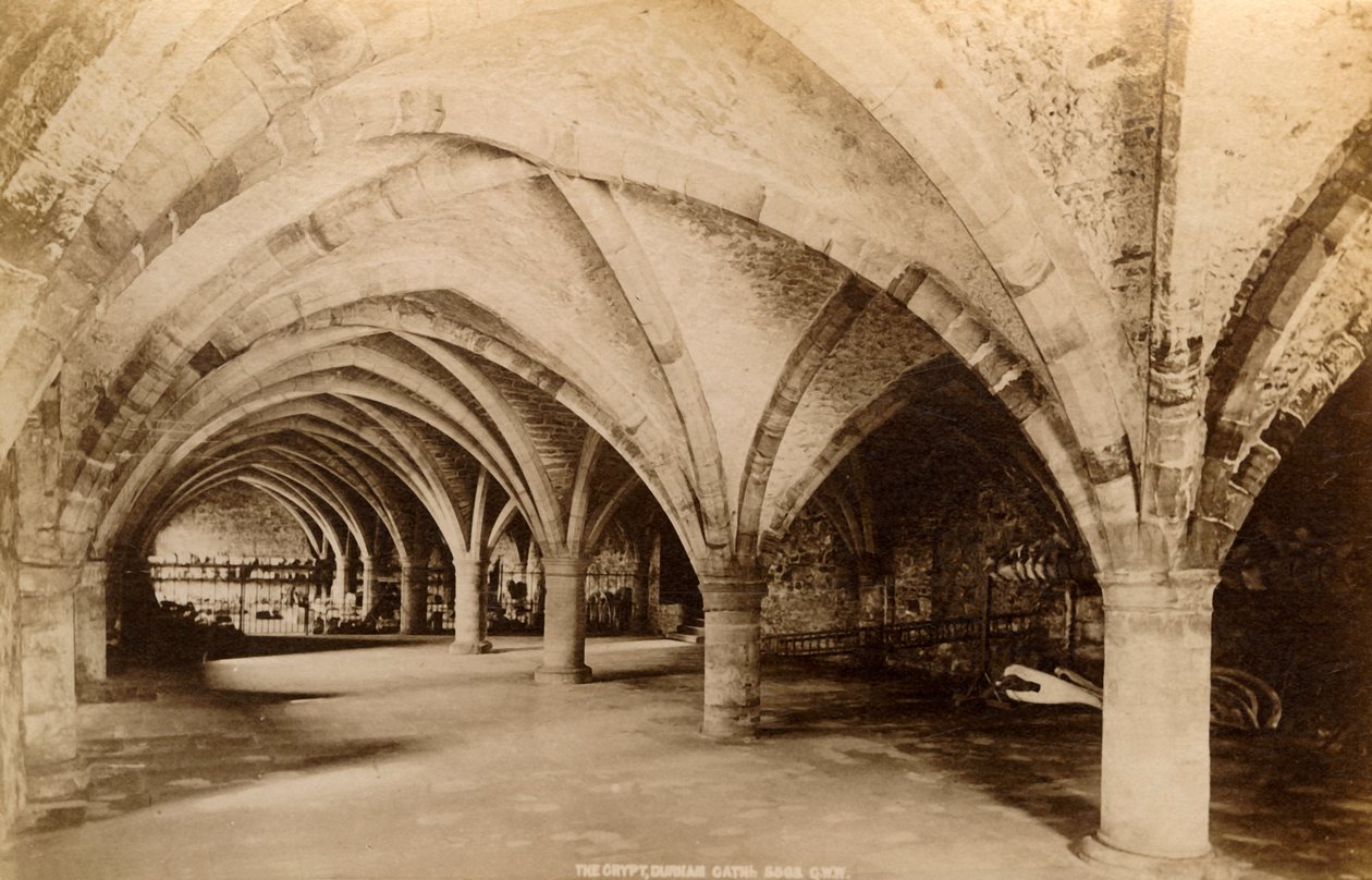 Crypt, Durham Katedrali, 1893. by Unbekannt