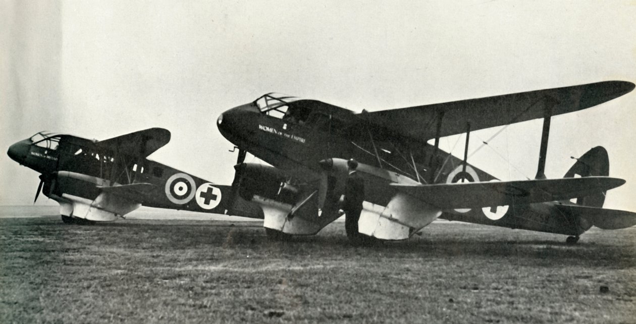 De Havilland Ambulansı, 1941. by Unbekannt