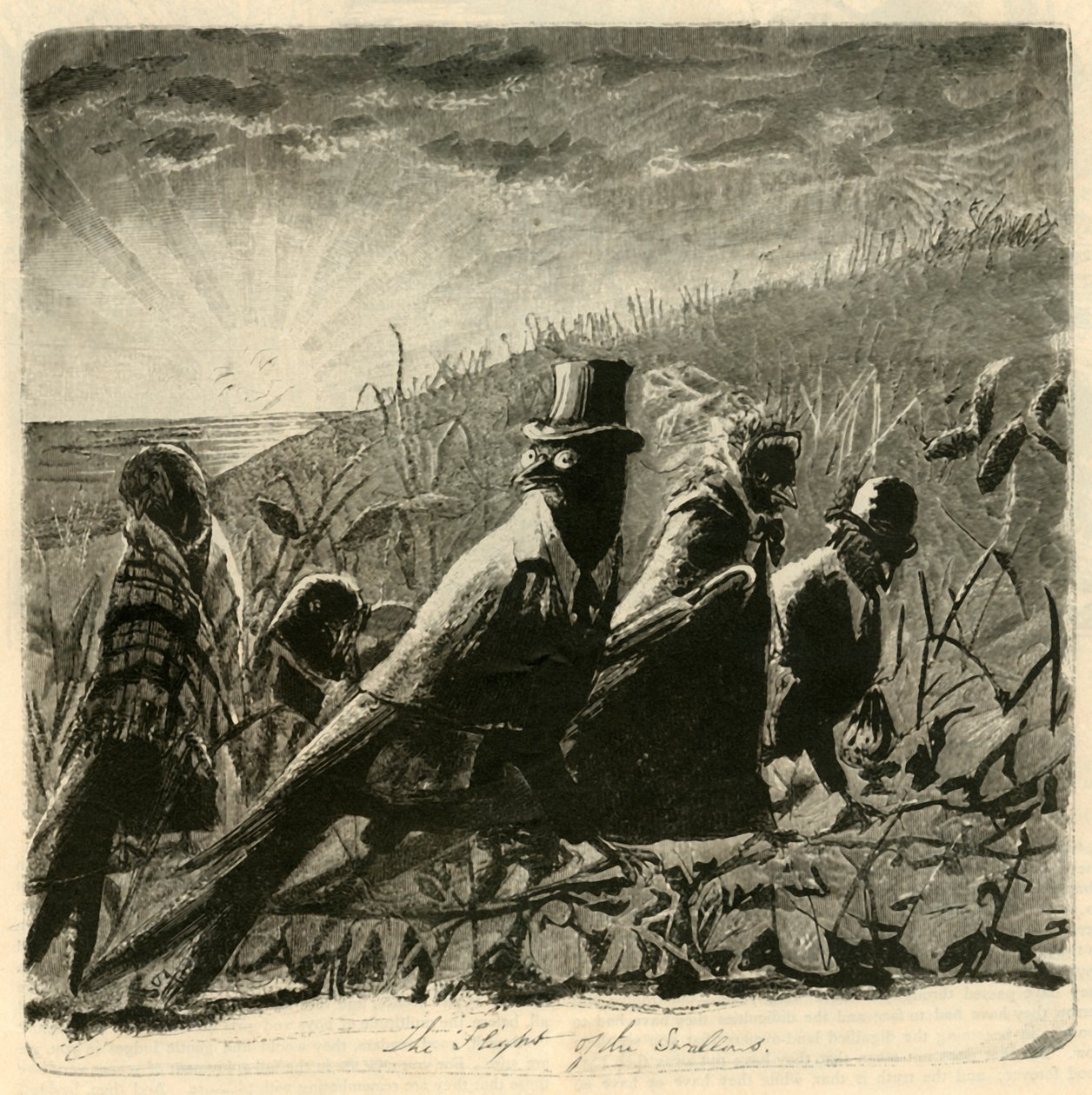Kırlangıçların Uçuşu, 1882. by Unbekannt
