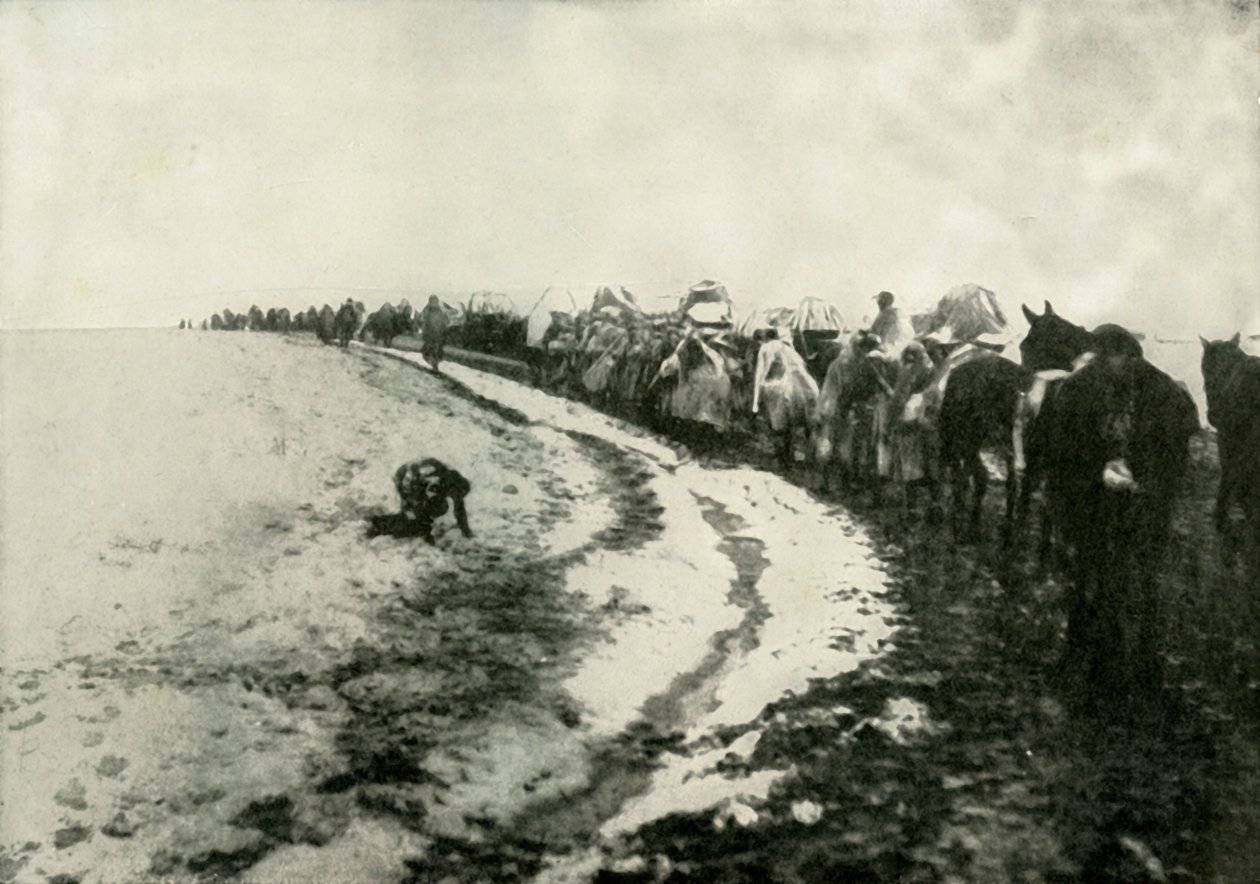 Büyük Sırp İnzivası, 1919. by Unbekannt
