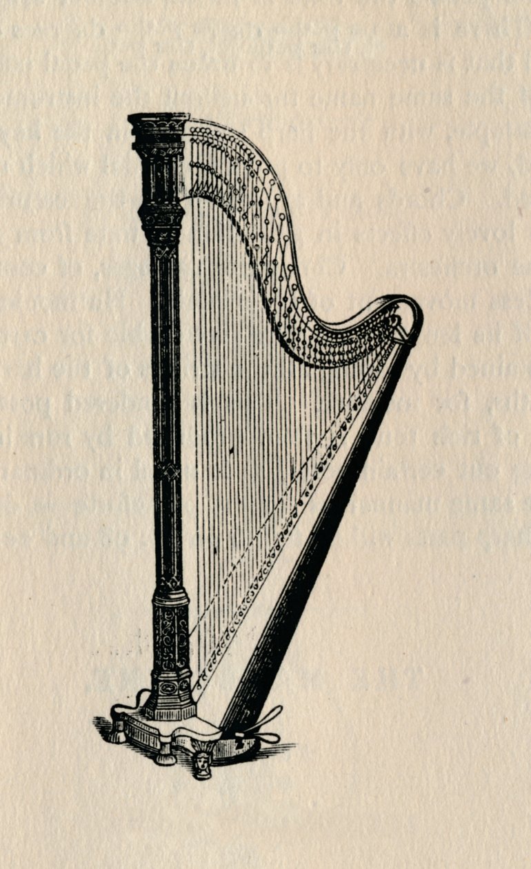Arp, 1895. by Unbekannt