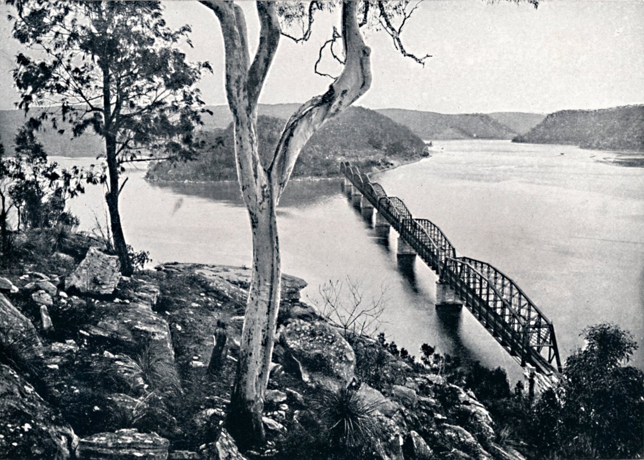 Hawkesbury Nehri ve Köprüsü, c1900. by Unbekannt