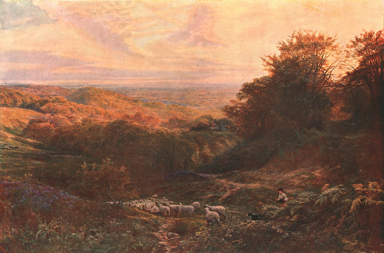 Surrey