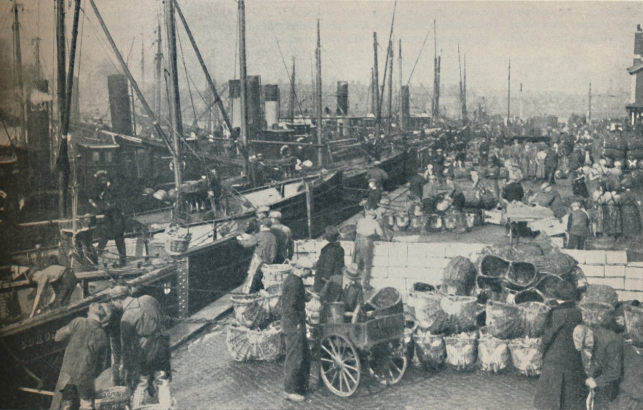 Tüm Hızıyla Ringa Mevsimi, 1937 by Unbekannt