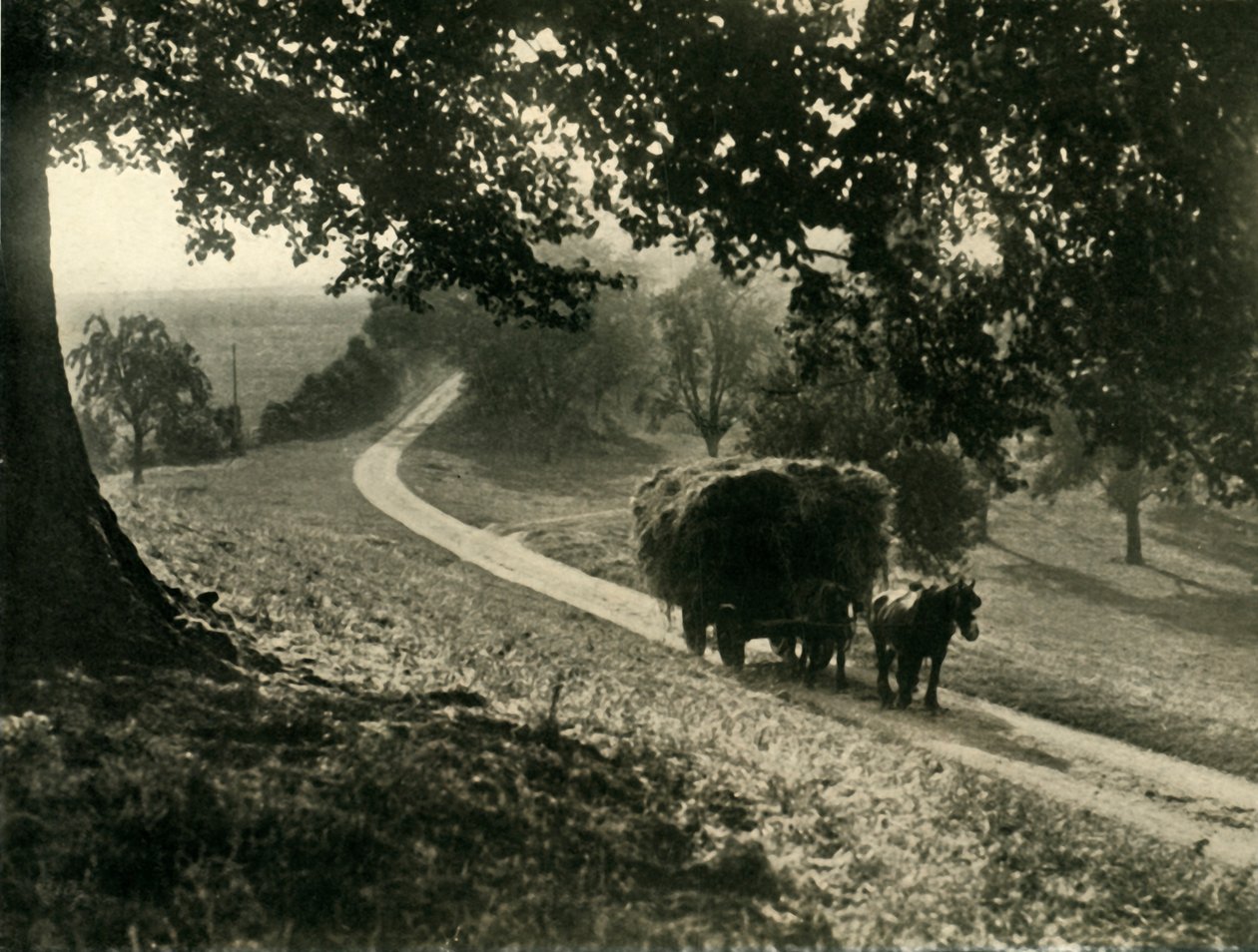 Son Yük, 1936. by Unbekannt