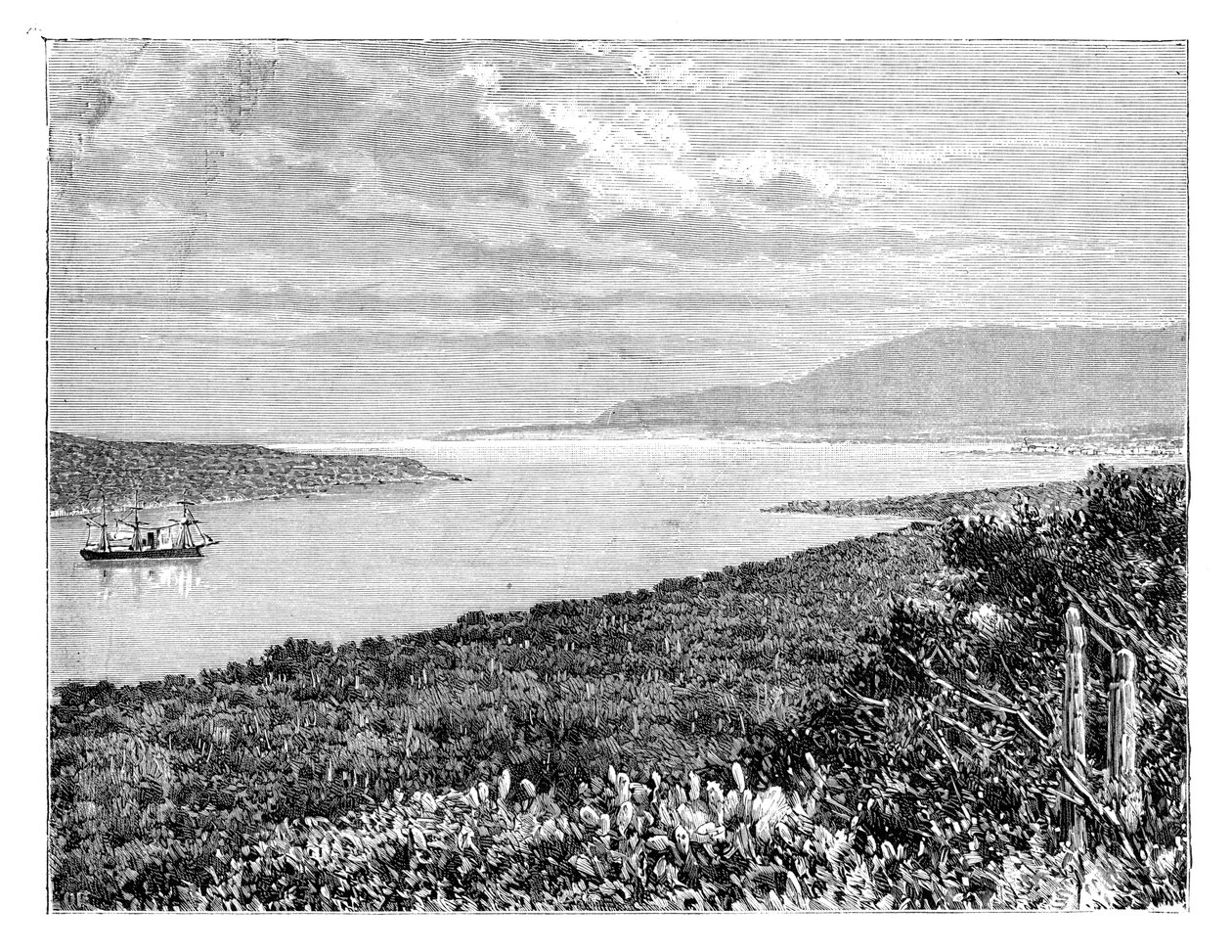 Môle St Nicolas Yarımadası, Haiti, c1890 by Unbekannt