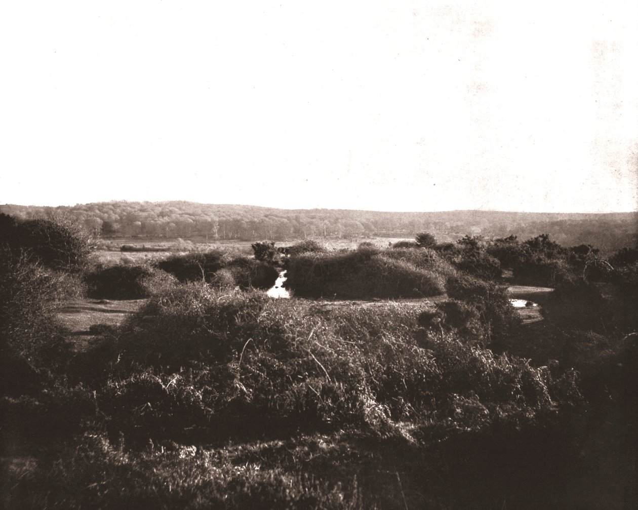 Yeni Orman, Hampshire, 1894. by Unbekannt